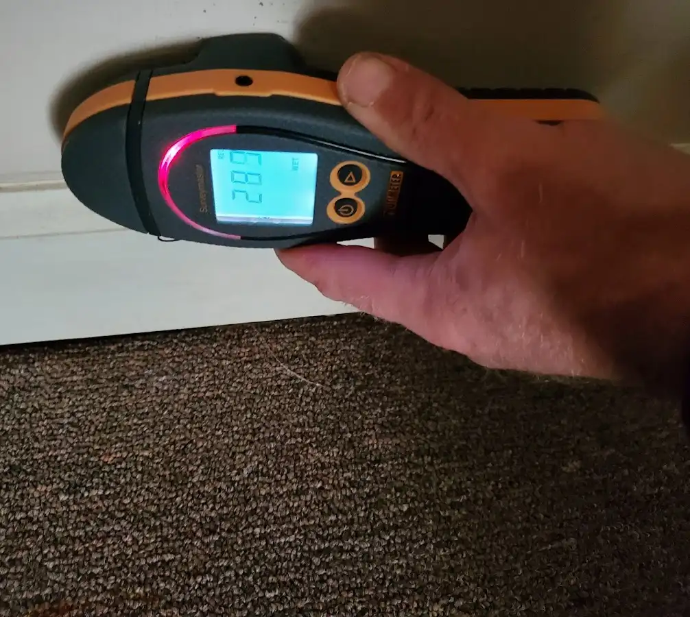 Moisture detection at baseboard during Sewage Cleanup & Sanitation in Mesquite